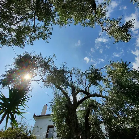 Casa de Férias Omikron