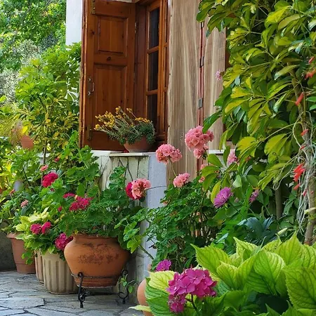 Dom wakacyjny Omikron