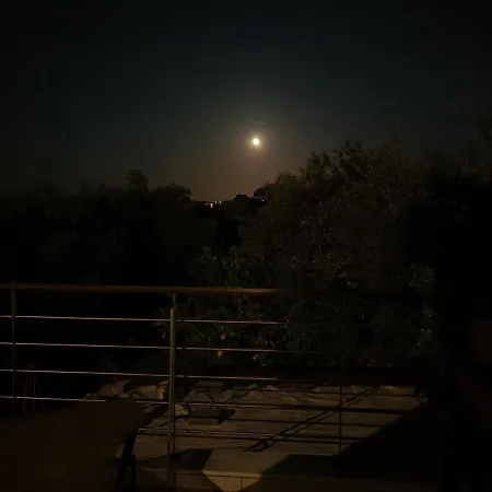 Omikron מיקרו