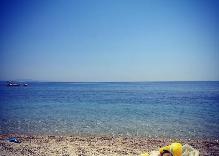 Omikron Hébergement de vacances *