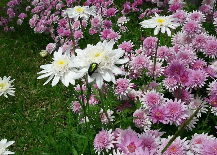 Hébergement de vacances Omikron *