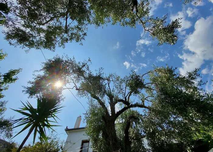 Hébergement de vacances Omikron