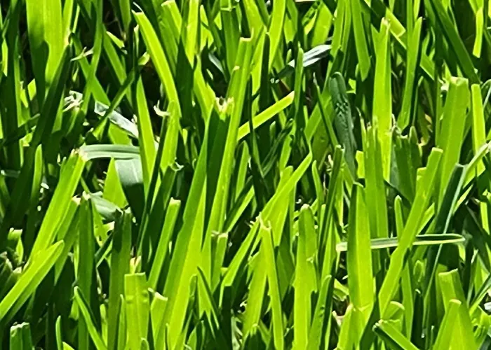 Omikron Hébergement de vacances