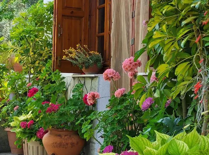 Hébergement de vacances Omikron