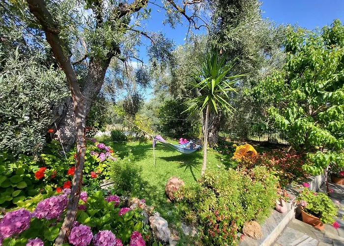 Omikron Hébergement de vacances Mikro