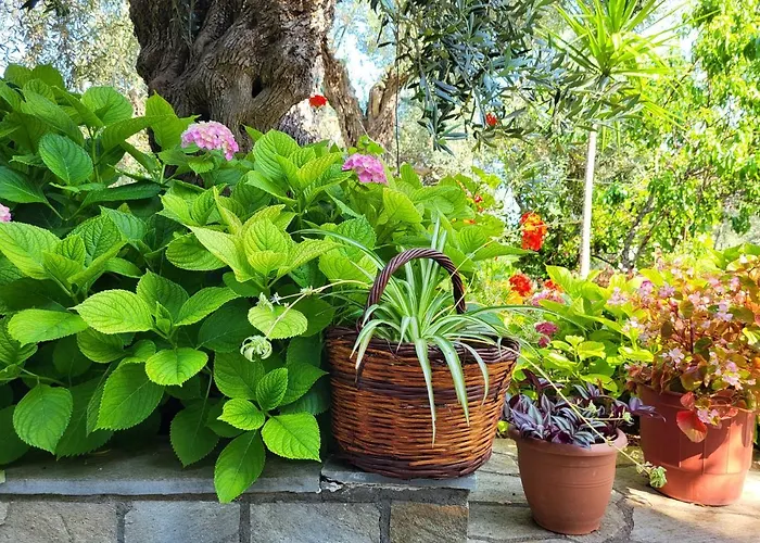 Hébergement de vacances Omikron